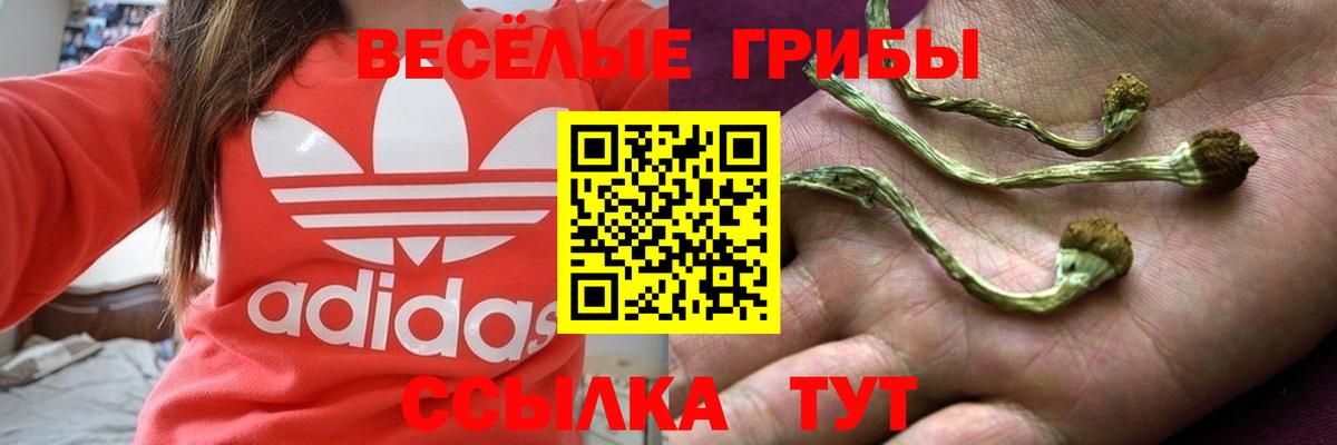 Псилоцибиновые грибы Magic Shrooms  Псилоцибиновые грибы Magic Shrooms  Вход с VPN  Нефтеюганск 